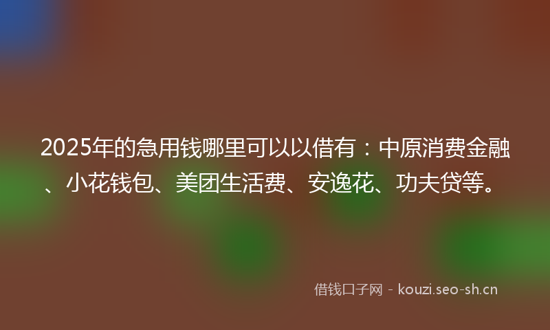 2025年的急用钱哪里可以以借有：中原消费金融、小花钱包、美团生活费、安逸花、功夫贷等。