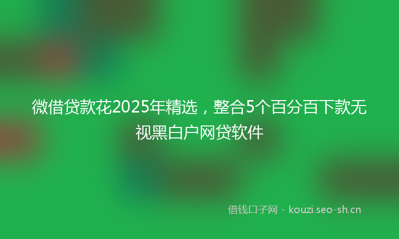 微借贷款花2025年精选，整合5个百分百下款无视黑白户网贷软件