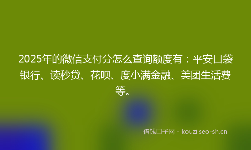 2025年的微信支付分怎么查询额度有:平安口袋银行、读秒贷、花呗、度小满金融、美团生活费等。