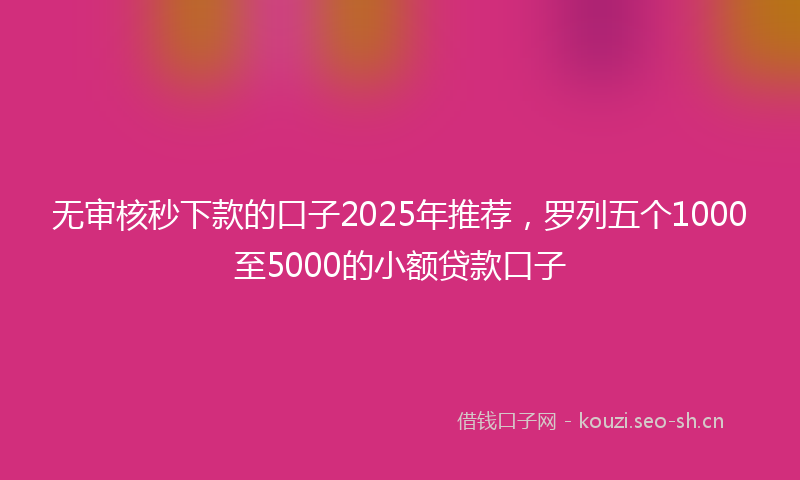 无审核秒下款的口子2025年推荐，罗列五个1000至5000的小额贷款口子