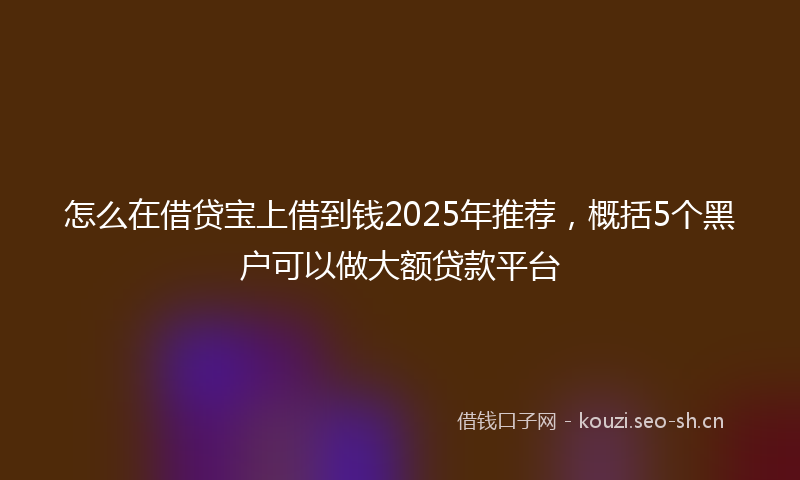 怎么在借贷宝上借到钱2025年推荐，概括5个黑户可以做大额贷款平台