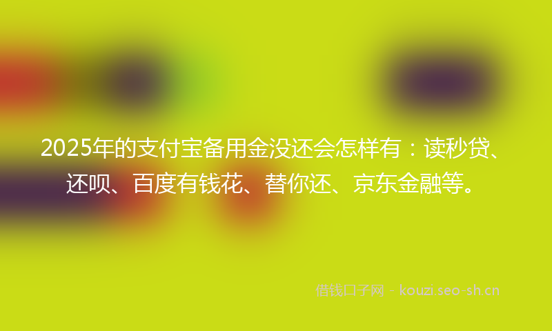 2025年的支付宝备用金没还会怎样有：读秒贷、还呗、百度有钱花、替你还、京东金融等。