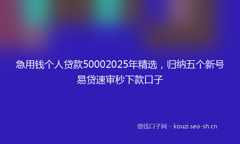 急用钱个人贷款50002025年精选，归纳五个新号易贷速审秒下款口子