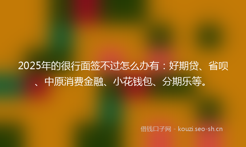 2025年的很行面签不过怎么办有：好期贷、省呗、中原消费金融、小花钱包、分期乐等。