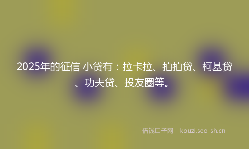 2025年的征信 小贷有：拉卡拉、拍拍贷、柯基贷、功夫贷、投友圈等。