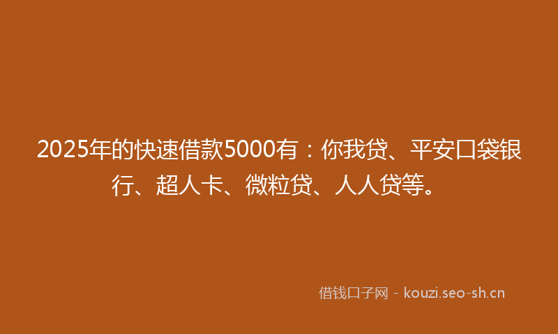 2025年的快速借款5000有：你我贷、平安口袋银行、超人卡、微粒贷、人人贷等。