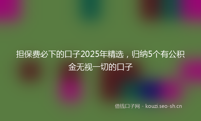 担保费必下的口子2025年精选，归纳5个有公积金无视一切的口子