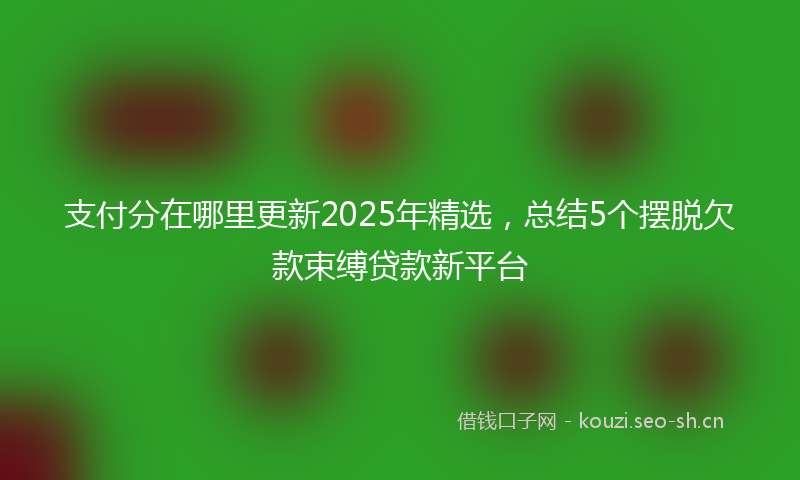 支付分在哪里更新2025年精选，总结5个摆脱欠款束缚贷款新平台