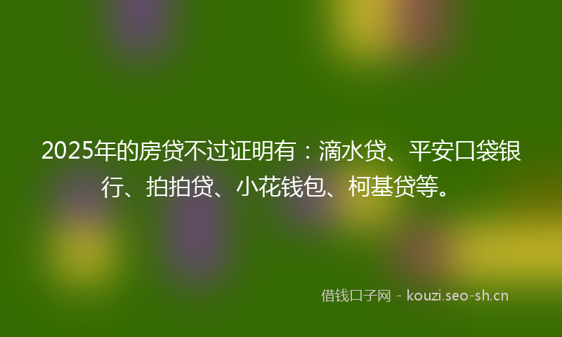 2025年的房贷不过证明有：滴水贷、平安口袋银行、拍拍贷、小花钱包、柯基贷等。