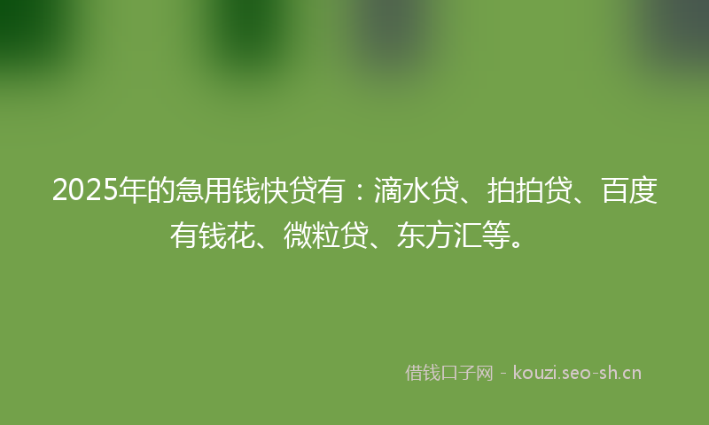 2025年的急用钱快贷有：滴水贷、拍拍贷、百度有钱花、微粒贷、东方汇等。