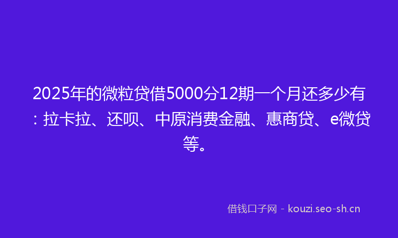 2025年的微粒贷借5000分12期一个月还多少有：拉卡拉、还呗、中原消费金融、惠商贷、e微贷等。