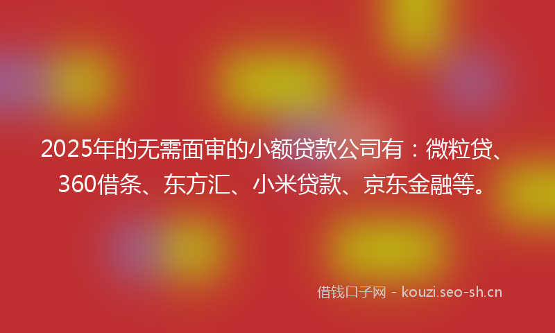 2025年的无需面审的小额贷款公司有：微粒贷、360借条、东方汇、小米贷款、京东金融等。