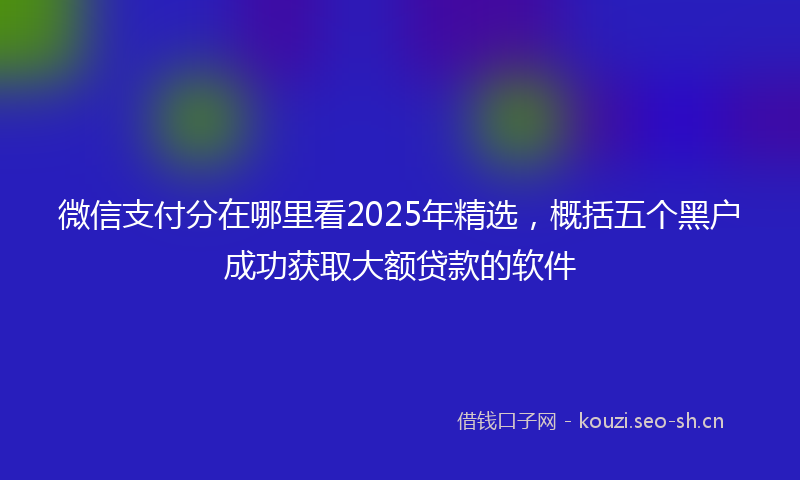 微信支付分在哪里看2025年精选，概括五个黑户成功获取大额贷款的软件