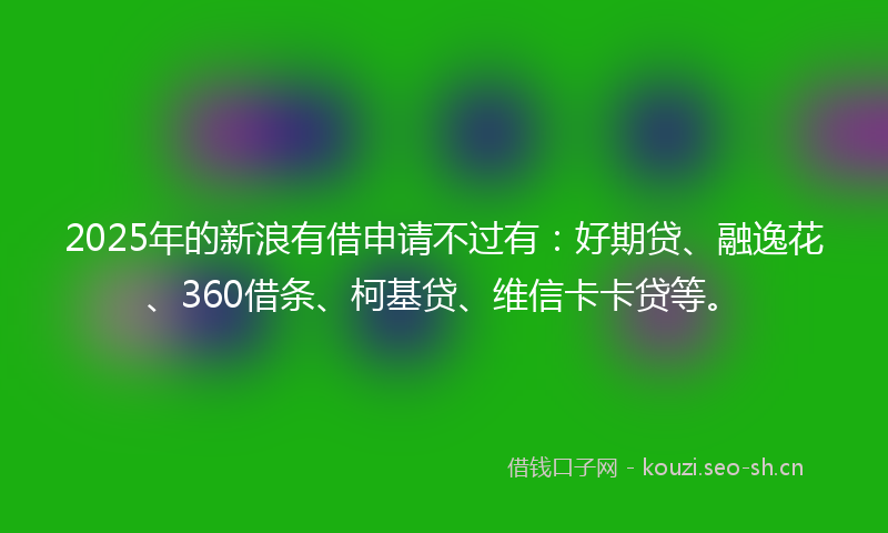 2025年的新浪有借申请不过有：好期贷、融逸花、360借条、柯基贷、维信卡卡贷等。