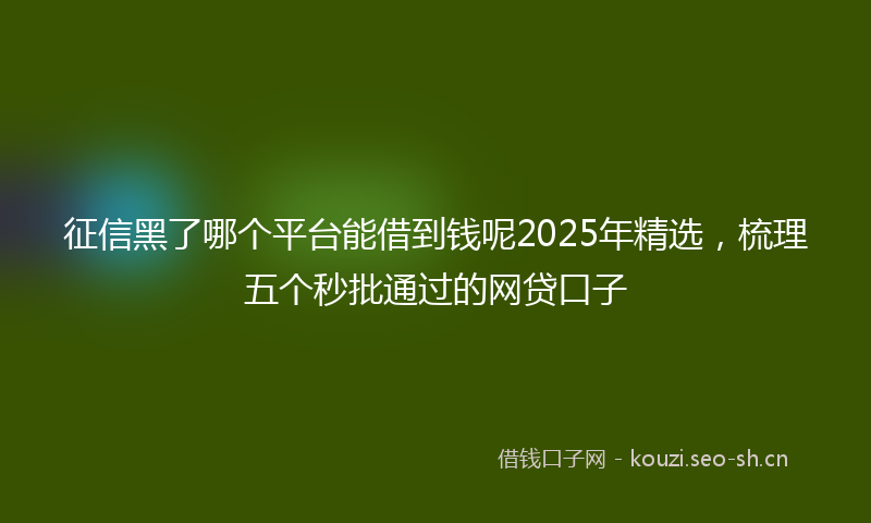 征信黑了哪个平台能借到钱呢2025年精选，梳理五个秒批通过的网贷口子
