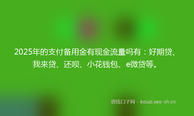2025年的支付备用金有现金流量吗有：好期贷、我来贷、还呗、小花钱包、e微贷等。