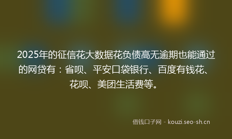 2025年的征信花大数据花负债高无逾期也能通过的网贷有：省呗、平安口袋银行、百度有钱花、花呗、美团生活费等。