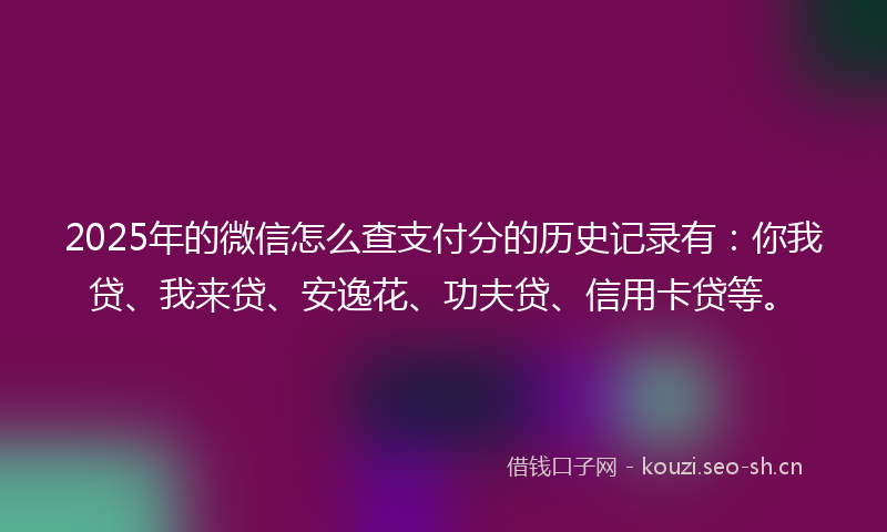 2025年的微信怎么查支付分的历史记录有：你我贷、我来贷、安逸花、功夫贷、信用卡贷等。