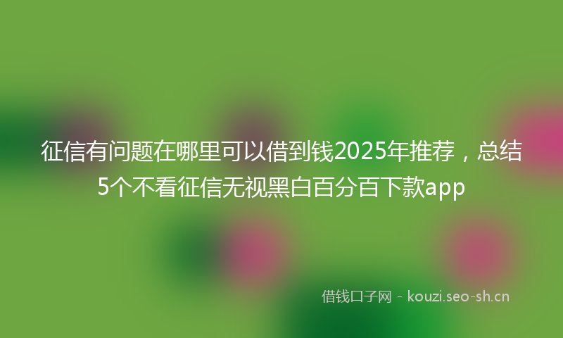 征信有问题在哪里可以借到钱2025年推荐，总结5个不看征信无视黑白百分百下款app