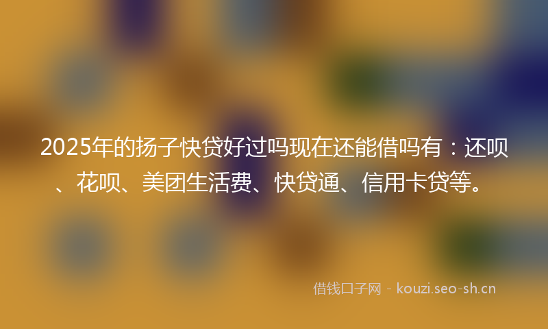 2025年的扬子快贷好过吗现在还能借吗有：还呗、花呗、美团生活费、快贷通、信用卡贷等。