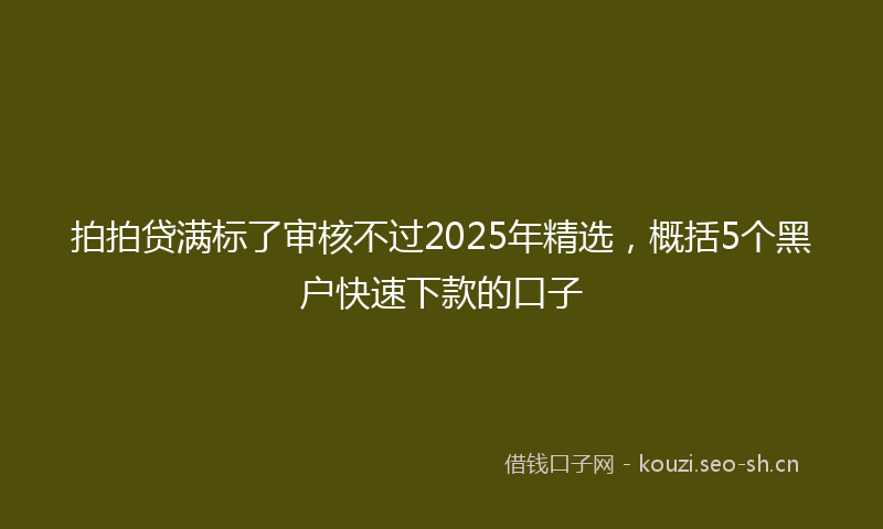 拍拍贷满标了审核不过2025年精选，概括5个黑户快速下款的口子