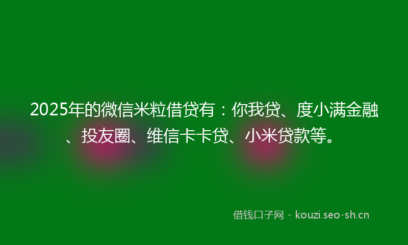 2025年的微信米粒借贷有：你我贷、度小满金融、投友圈、维信卡卡贷、小米贷款等。