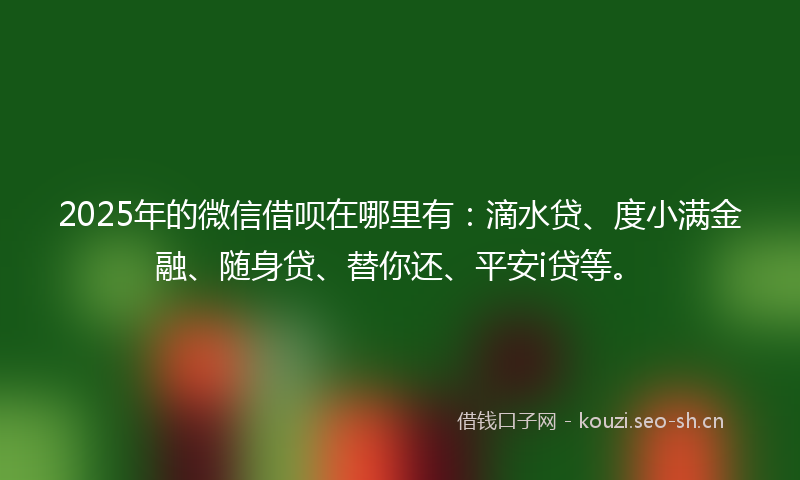 2025年的微信借呗在哪里有：滴水贷、度小满金融、随身贷、替你还、平安i贷等。
