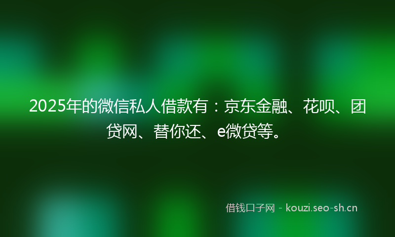 2025年的微信私人借款有：京东金融、花呗、团贷网、替你还、e微贷等。