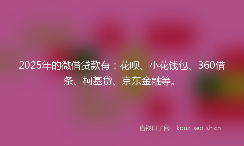 2025年的微借贷款有：花呗、小花钱包、360借条、柯基贷、京东金融等。