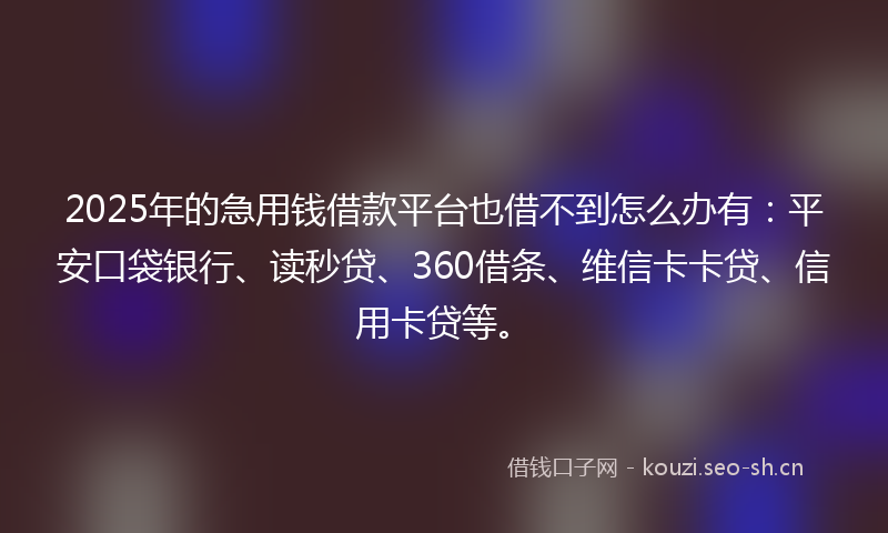 2025年的急用钱借款平台也借不到怎么办有：平安口袋银行、读秒贷、360借条、维信卡卡贷、信用卡贷等。