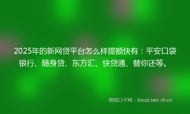 2025年的新网贷平台怎么样提额快有：平安口袋银行、随身贷、东方汇、快贷通、替你还等。