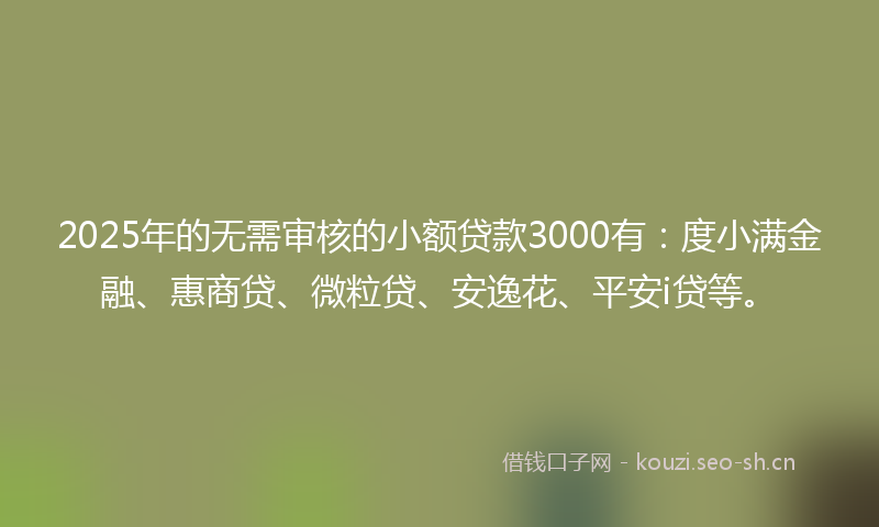 2025年的无需审核的小额贷款3000有：度小满金融、惠商贷、微粒贷、安逸花、平安i贷等。