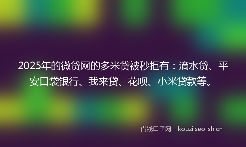 2025年的微贷网的多米贷被秒拒有：滴水贷、平安口袋银行、我来贷、花呗、小米贷款等。