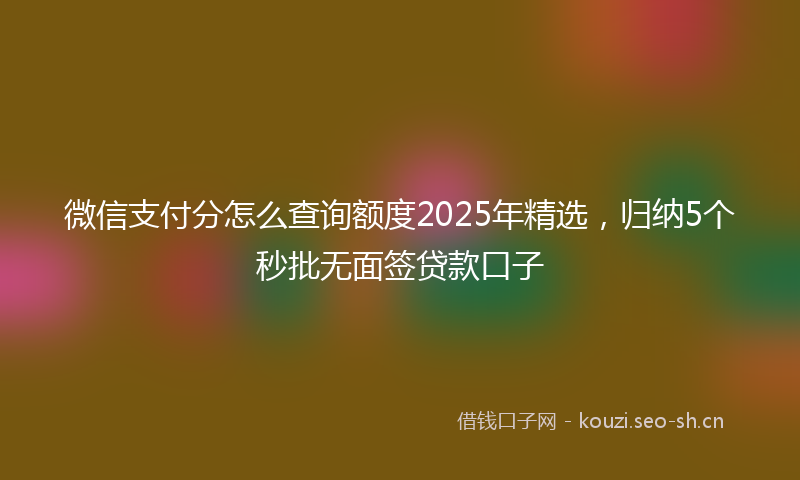微信支付分怎么查询额度2025年精选,归纳5个秒批无面签贷款口子