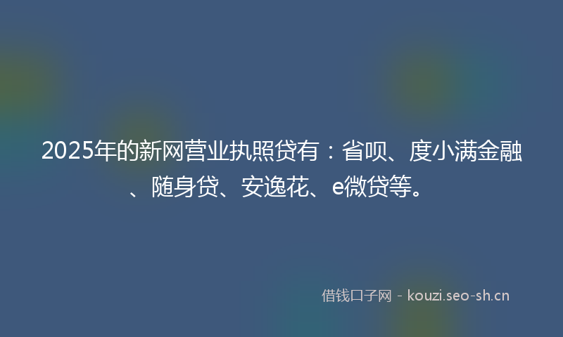 2025年的新网营业执照贷有：省呗、度小满金融、随身贷、安逸花、e微贷等。