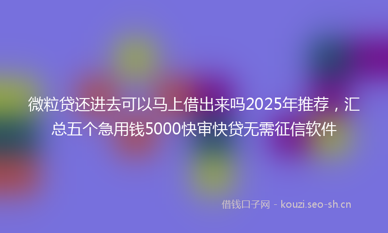 微粒贷还进去可以马上借出来吗2025年推荐，汇总五个急用钱5000快审快贷无需征信软件