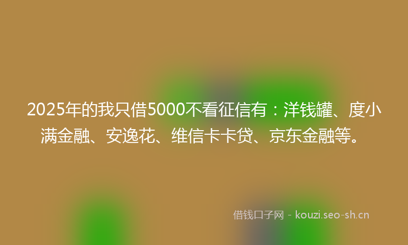 2025年的我只借5000不看征信有：洋钱罐、度小满金融、安逸花、维信卡卡贷、京东金融等。