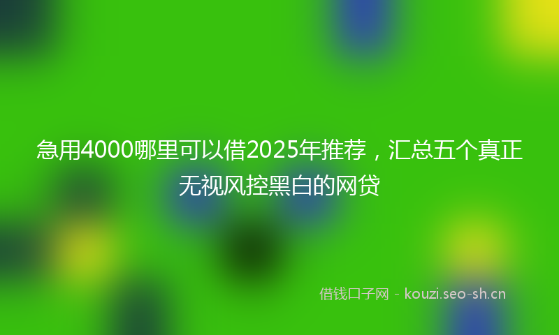 急用4000哪里可以借2025年推荐，汇总五个真正无视风控黑白的网贷