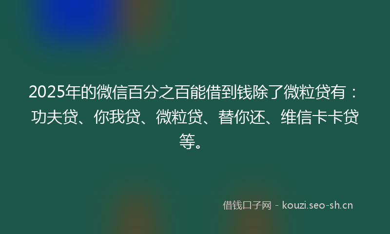 2025年的微信百分之百能借到钱除了微粒贷有：功夫贷、你我贷、微粒贷、替你还、维信卡卡贷等。