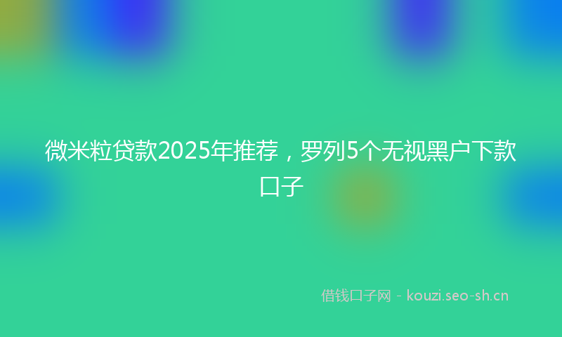 微米粒贷款2025年推荐，罗列5个无视黑户下款口子