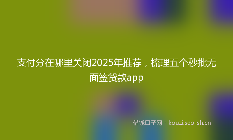 支付分在哪里关闭2025年推荐，梳理五个秒批无面签贷款app