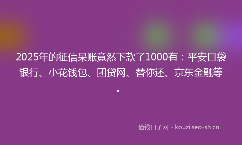 2025年的征信呆账竟然下款了1000有:平安口袋银行、小花钱包、团贷网、替你还、京东金融等。
