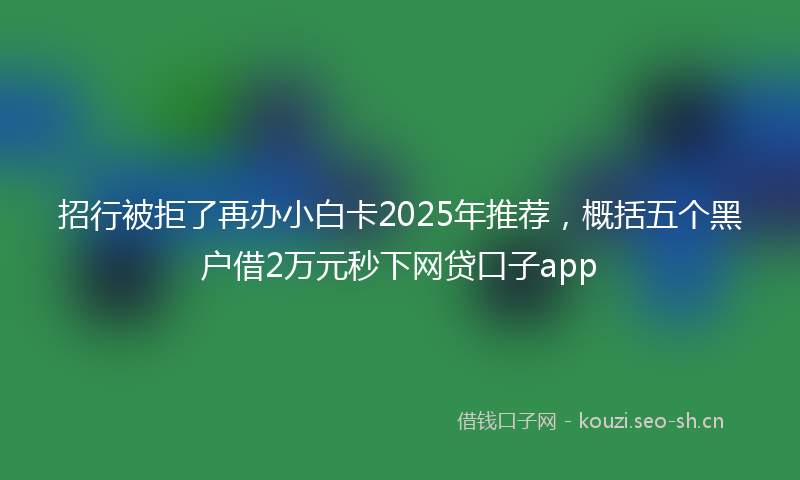 招行被拒了再办小白卡2025年推荐，概括五个黑户借2万元秒下网贷口子app
