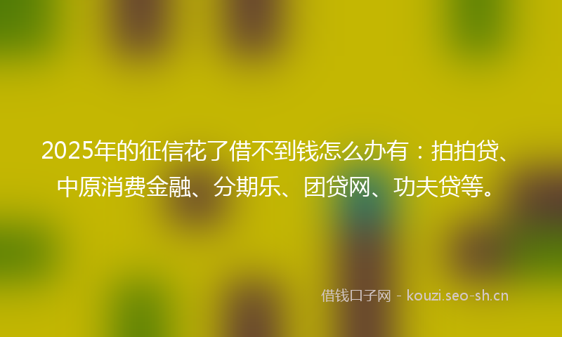 2025年的征信花了借不到钱怎么办有：拍拍贷、中原消费金融、分期乐、团贷网、功夫贷等。