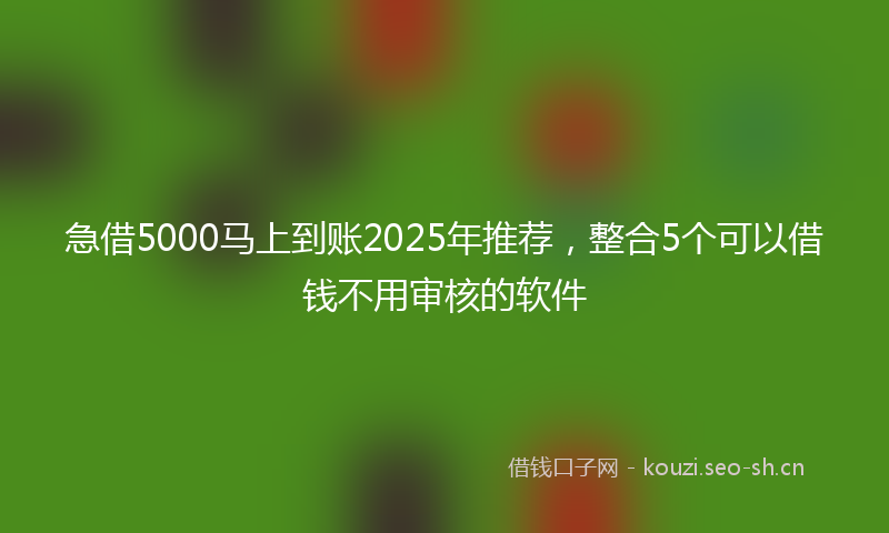 急借5000马上到账2025年推荐，整合5个可以借钱不用审核的软件