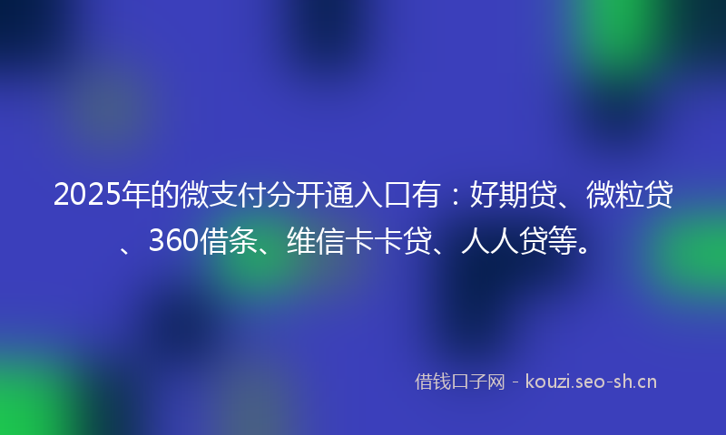 2025年的微支付分开通入口有：好期贷、微粒贷、360借条、维信卡卡贷、人人贷等。