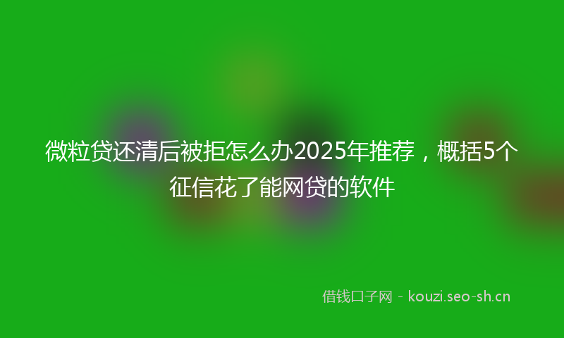 微粒贷还清后被拒怎么办2025年推荐，概括5个征信花了能网贷的软件