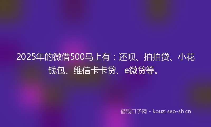 2025年的微借500马上有:还呗、拍拍贷、小花钱包、维信卡卡贷、e微贷等。