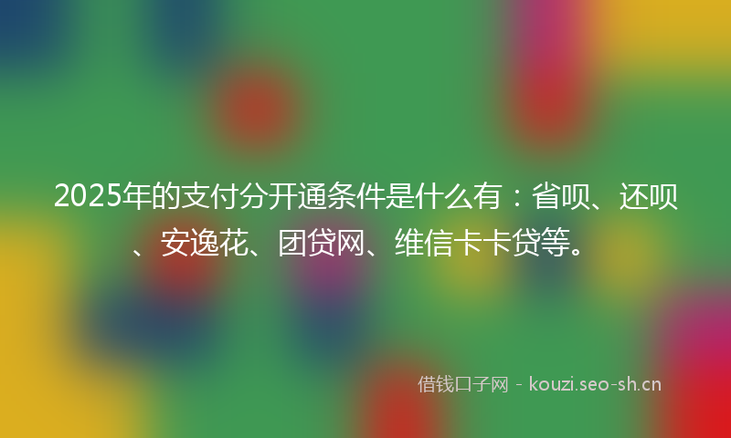 2025年的支付分开通条件是什么有：省呗、还呗、安逸花、团贷网、维信卡卡贷等。