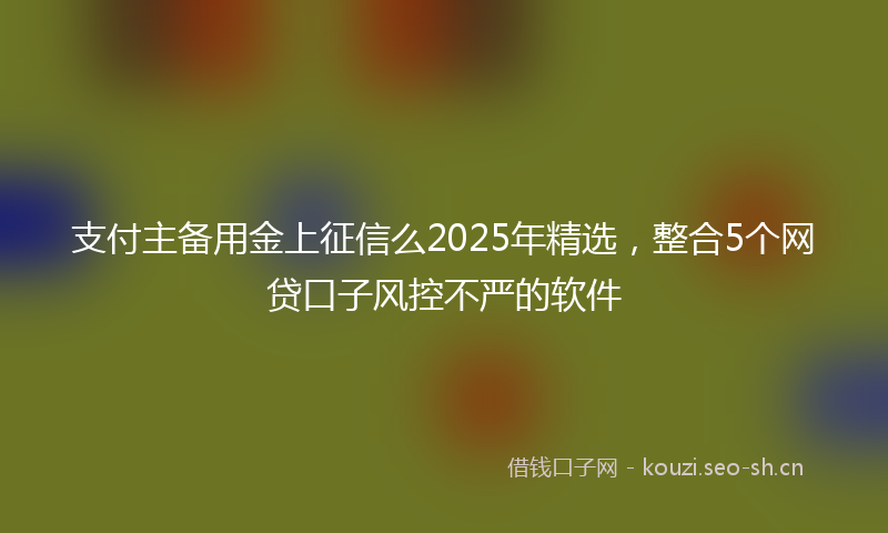 支付主备用金上征信么2025年精选，整合5个网贷口子风控不严的软件